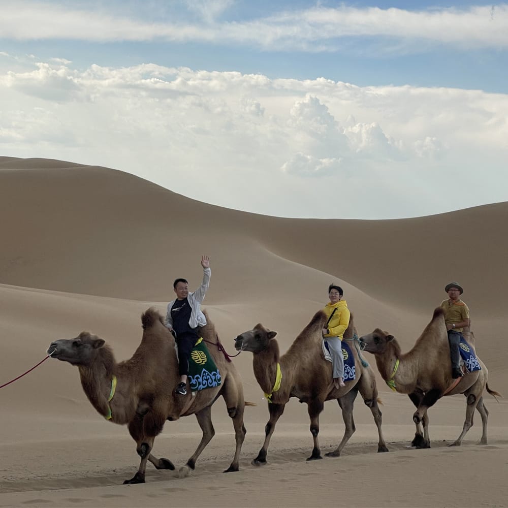 1695025371560792.jpg 60c6753a0347f07781b33f138ac63774-sz_540756.jpg